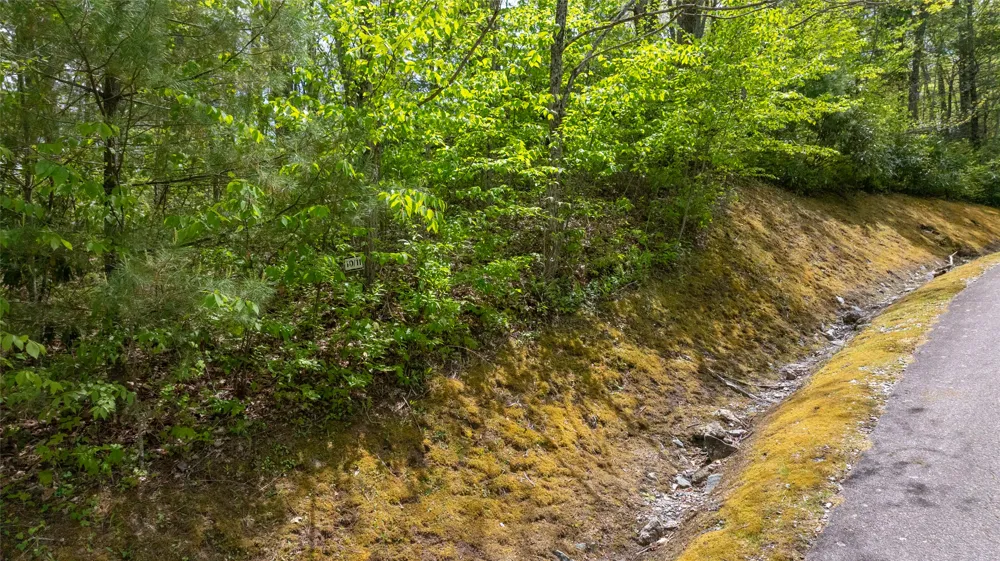 133 Horseshoe Bend Lane Cullowhee, NC 28723