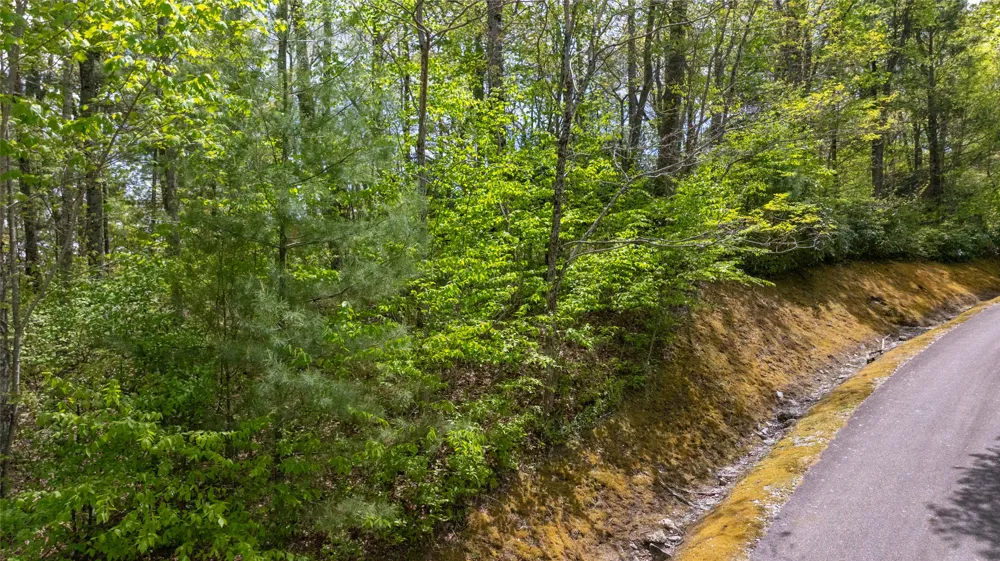 133 Horseshoe Bend Lane Cullowhee, NC 28723
