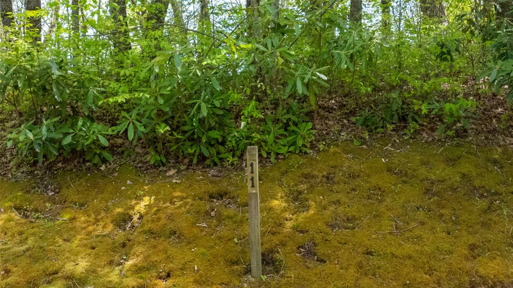 133 Horseshoe Bend Lane Cullowhee, NC 28723