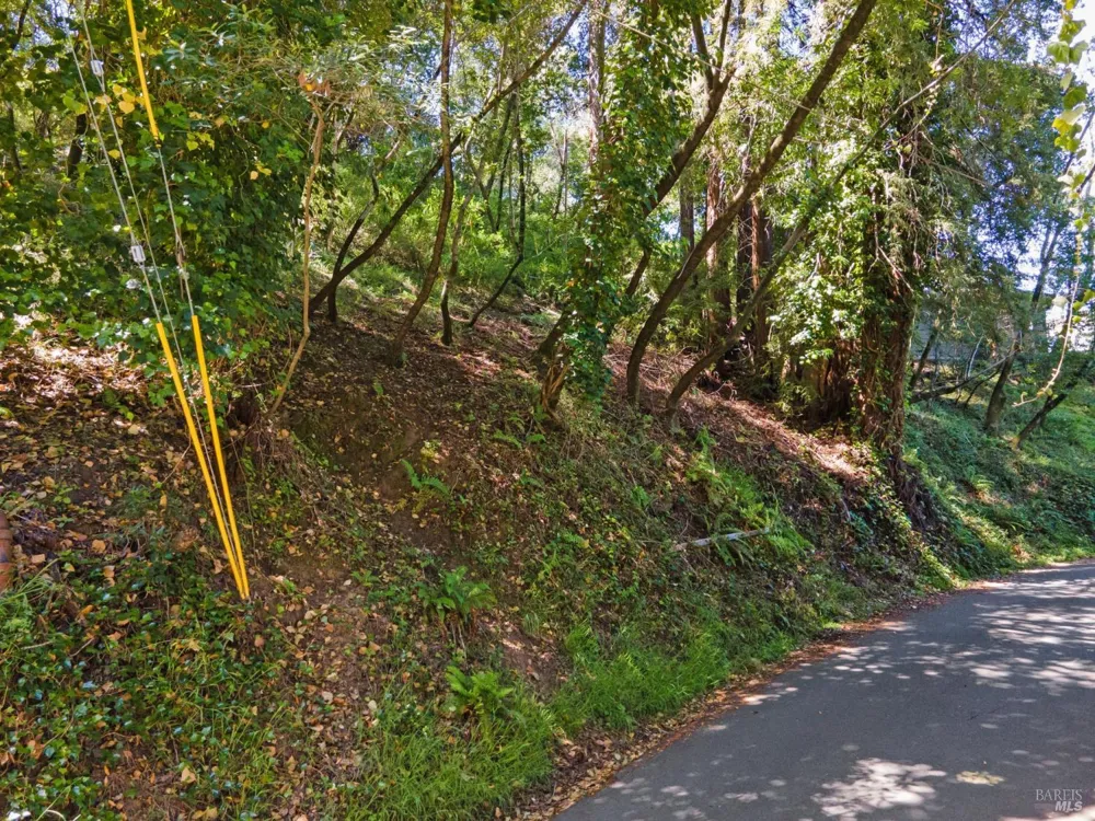 160 Spring Grove Avenue San Anselmo, CA 94960