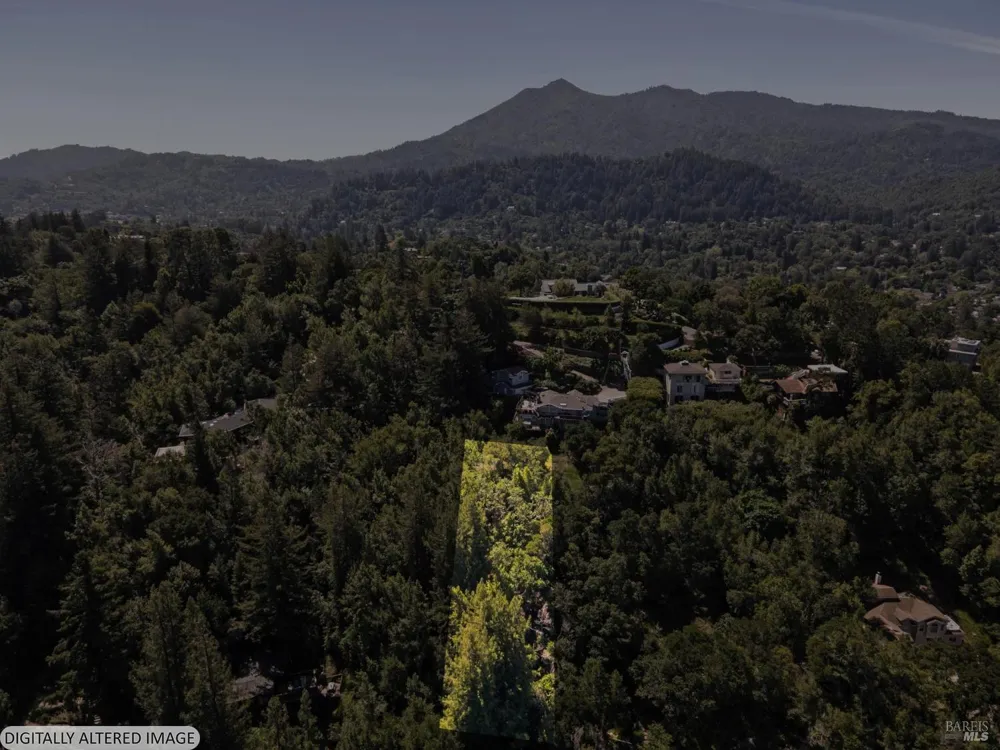 160 Spring Grove Avenue San Anselmo, CA 94960