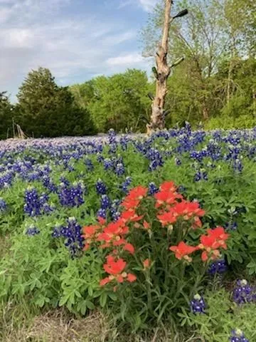 821 Ewing Road Ferris, TX 75125