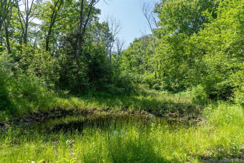 508 Woodstock Road Millbrook, NY 12545