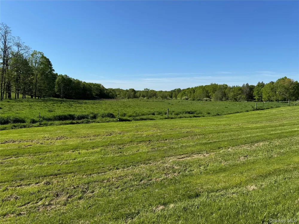 TBD Woodstock Road Millbrook, NY 12545