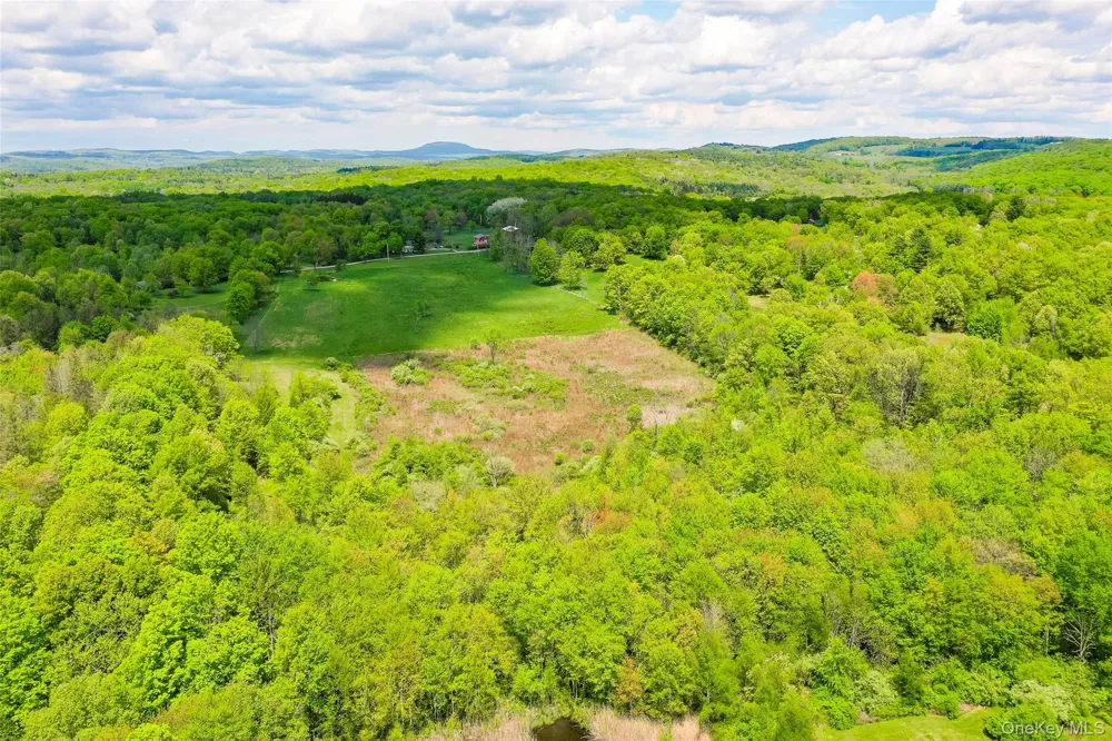 TBD Woodstock Road Millbrook, NY 12545
