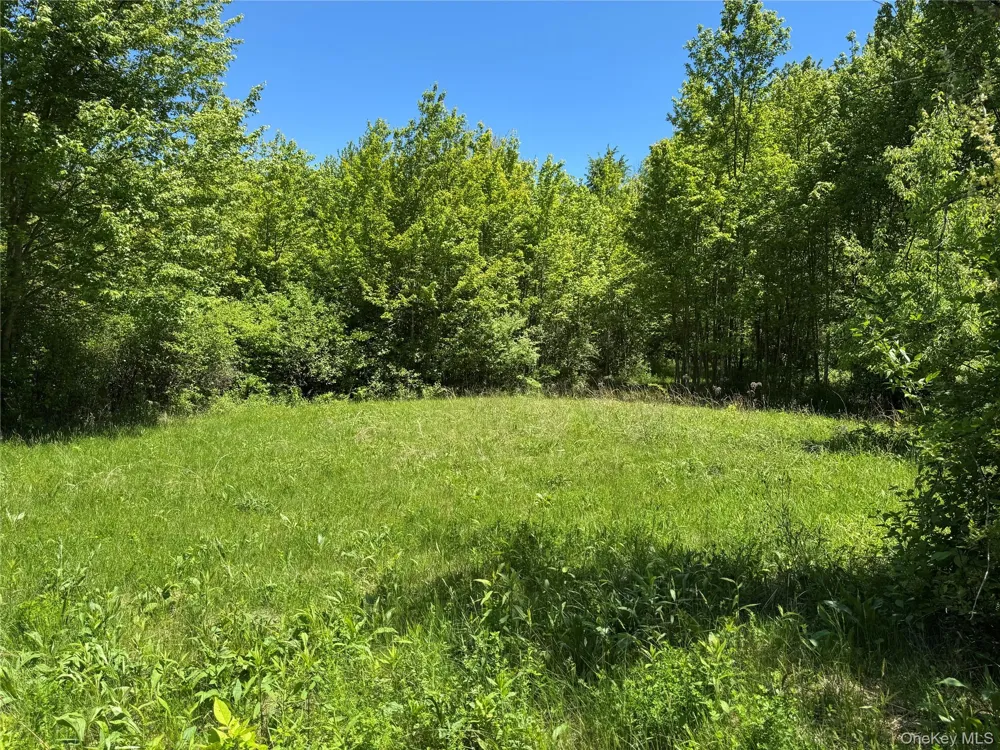 Parcel 1 - TBD Woodstock Road Millbrook, NY 12545