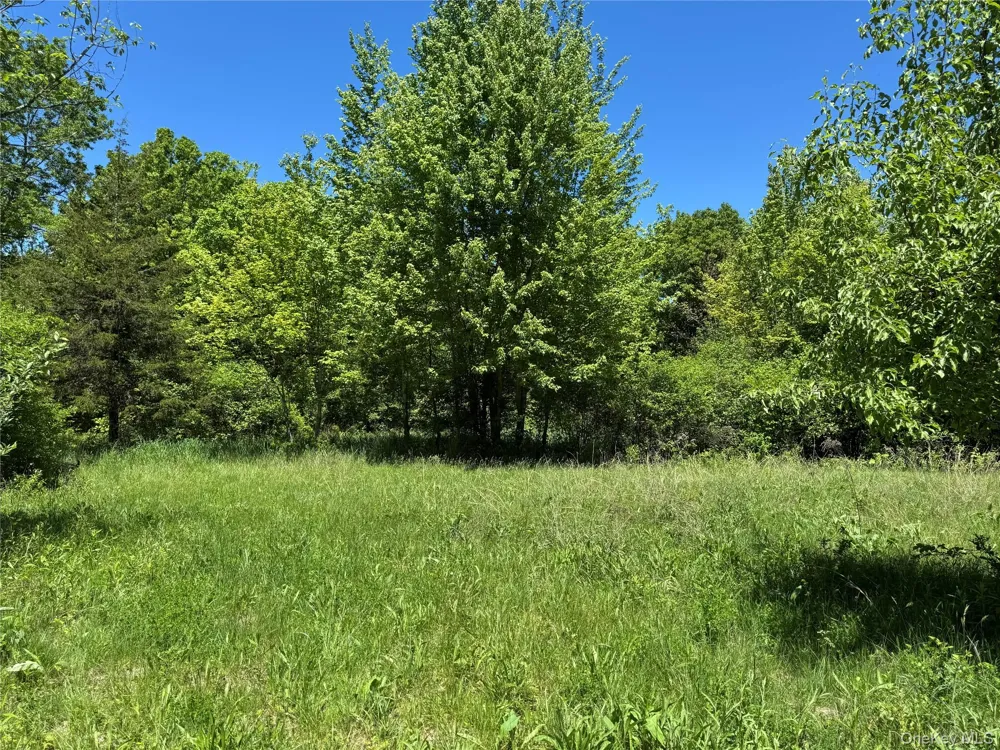Parcel 1 - TBD Woodstock Road Millbrook, NY 12545