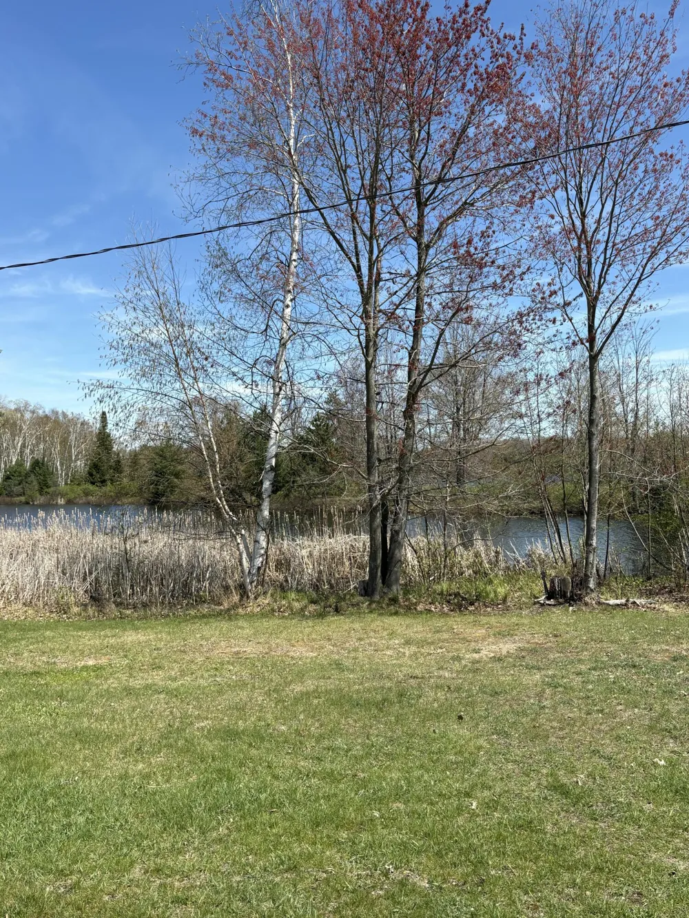 Shadowbrook Drive Lake, MI 48632