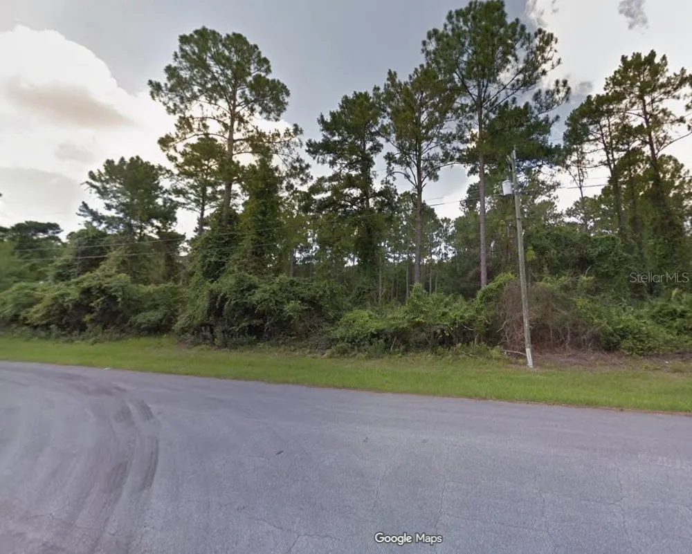 2519 COACHMAN DRIVE Deltona, FL 32738