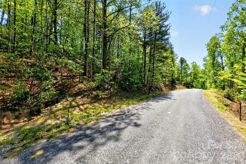 131-133 McKenzie Way Old Fort, NC 28762