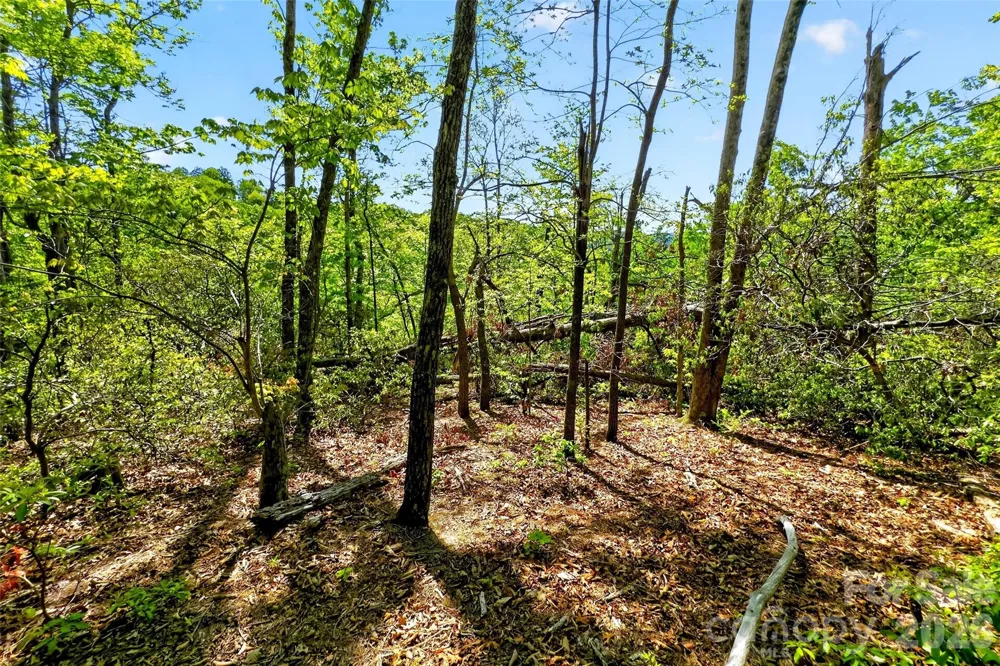 131-133 McKenzie Way Old Fort, NC 28762