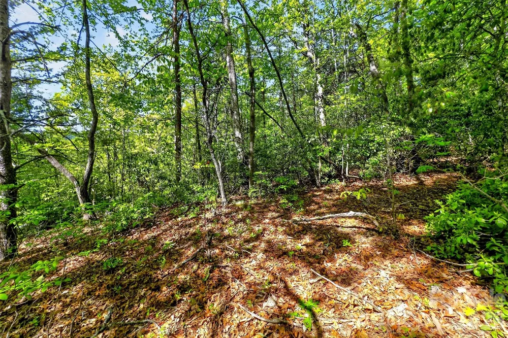 131-133 McKenzie Way Old Fort, NC 28762