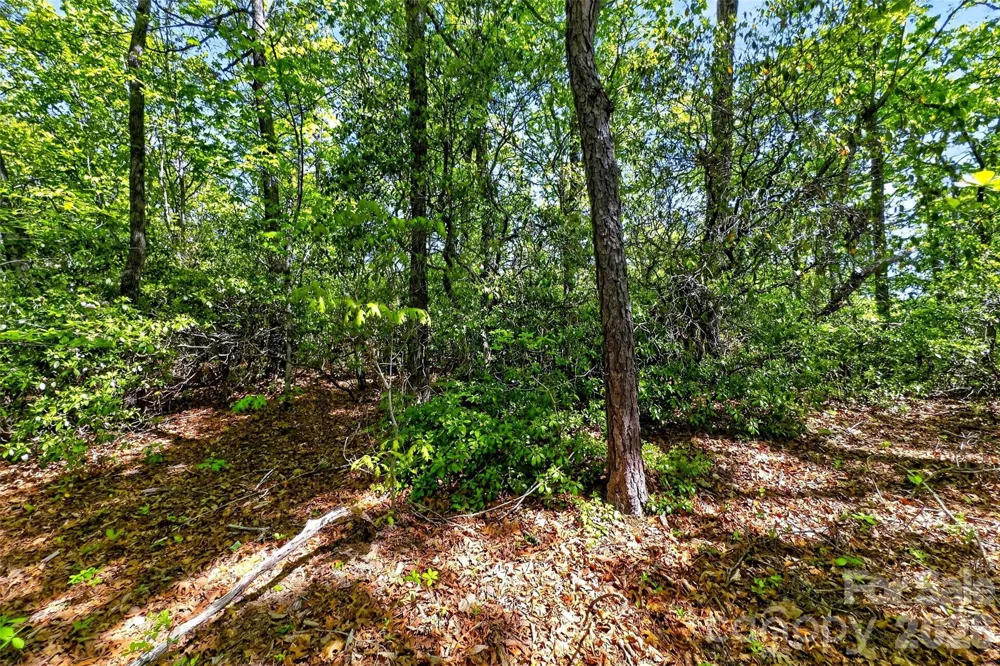 131-133 McKenzie Way Old Fort, NC 28762