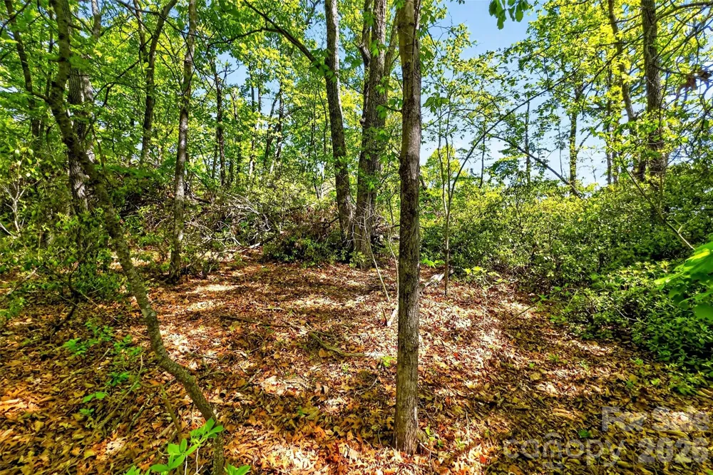 131-133 McKenzie Way Old Fort, NC 28762