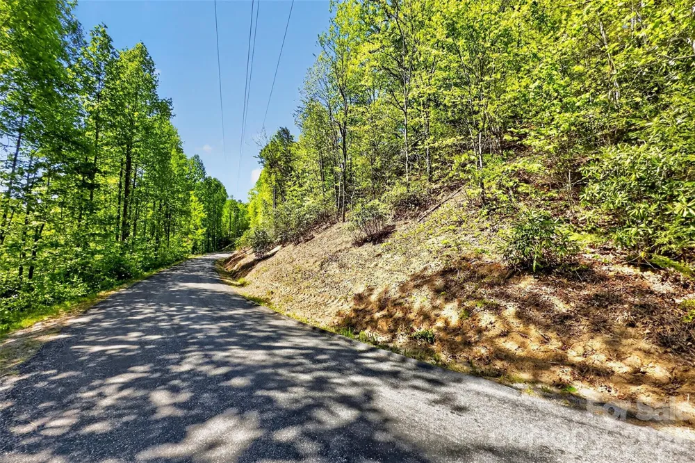 131-133 McKenzie Way Old Fort, NC 28762