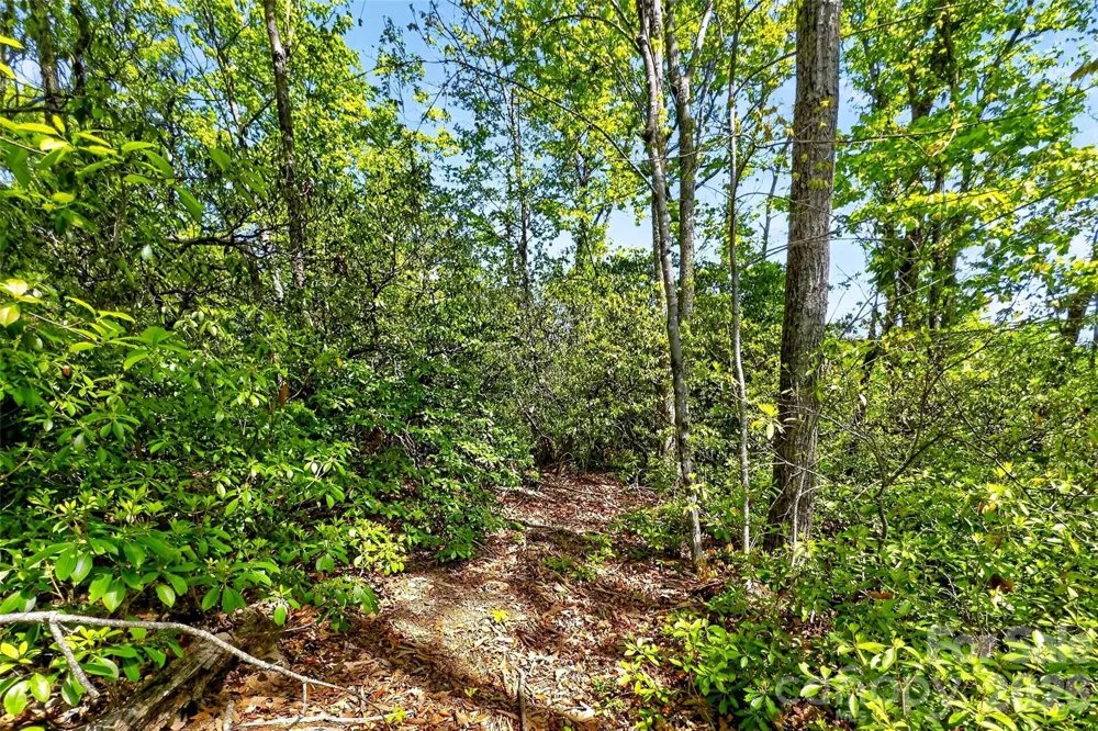 131-133 McKenzie Way Old Fort, NC 28762