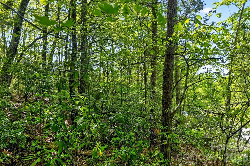 131-133 McKenzie Way Old Fort, NC 28762
