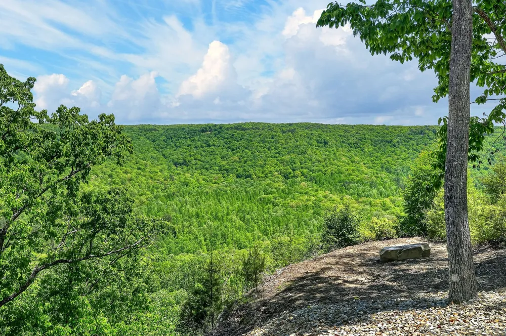 865 Eastridge Pass Monterey, TN 38574