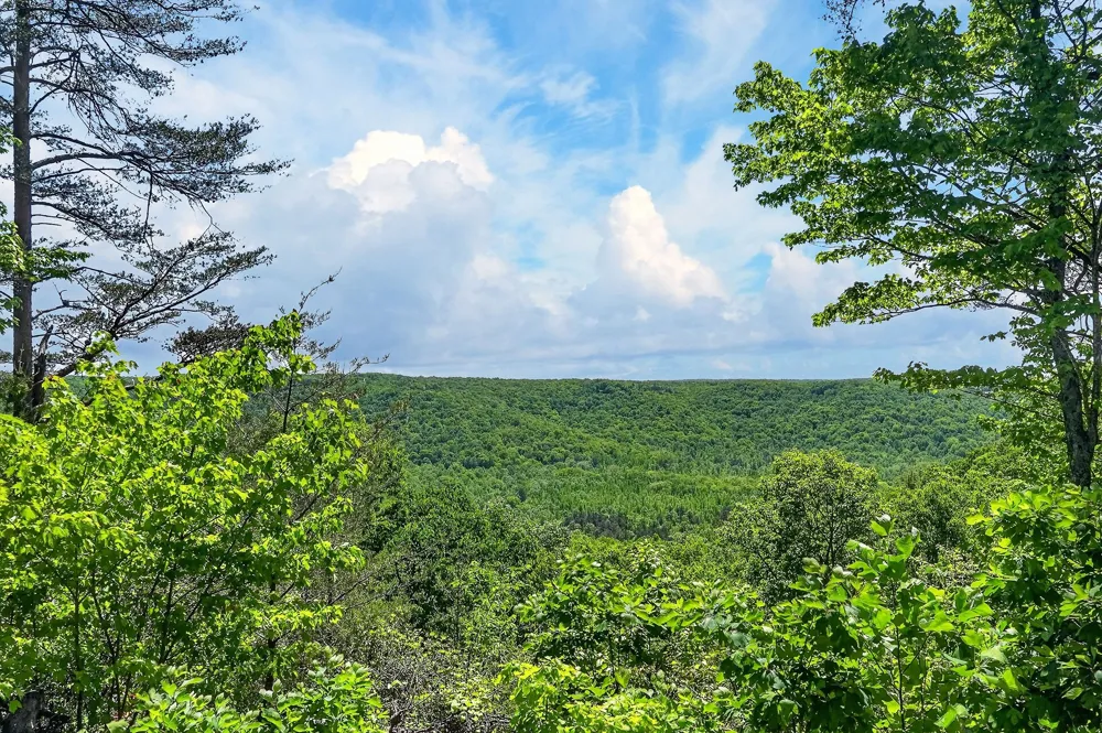 865 Eastridge Pass Monterey, TN 38574