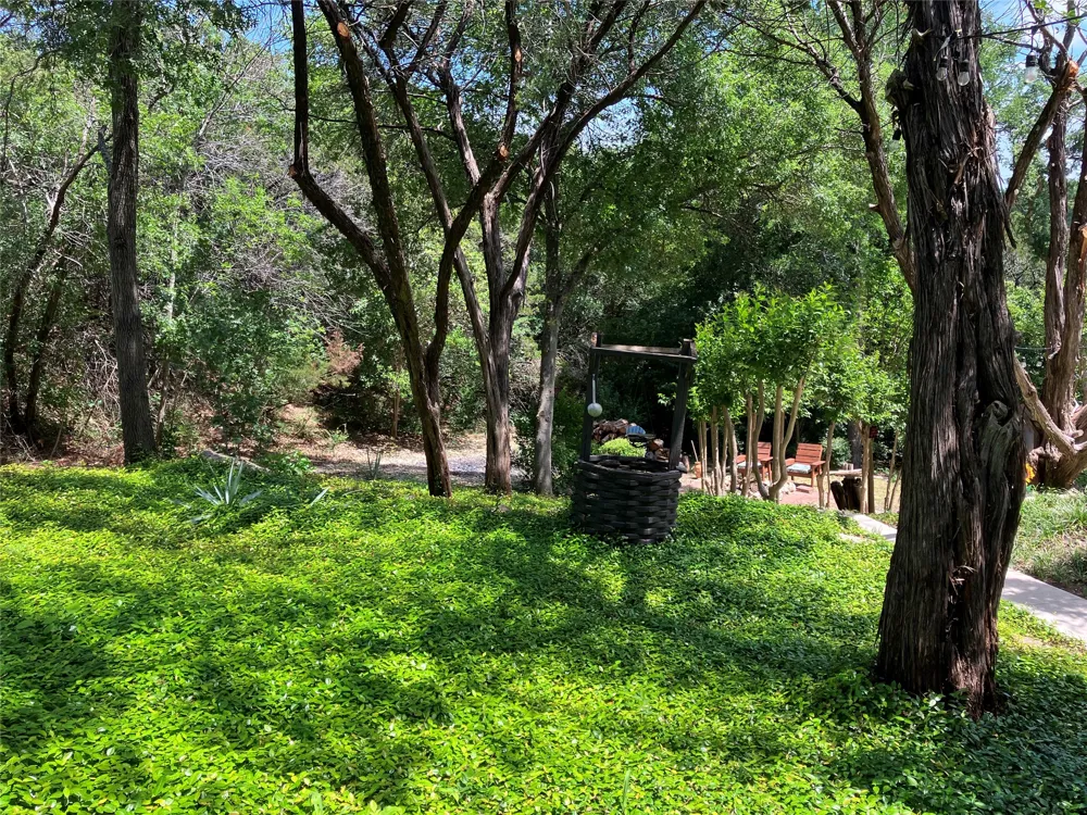 172 Giant Cedar Trail Whitney, TX 76692