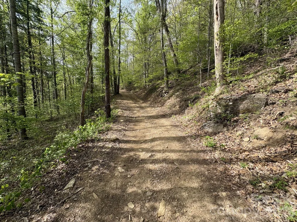 999999 Harwood Road #2 Barnardsville, NC 28709