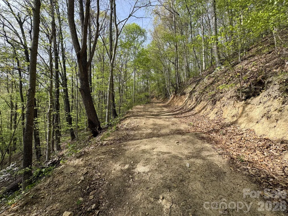 999999 Harwood Road #2 Barnardsville, NC 28709