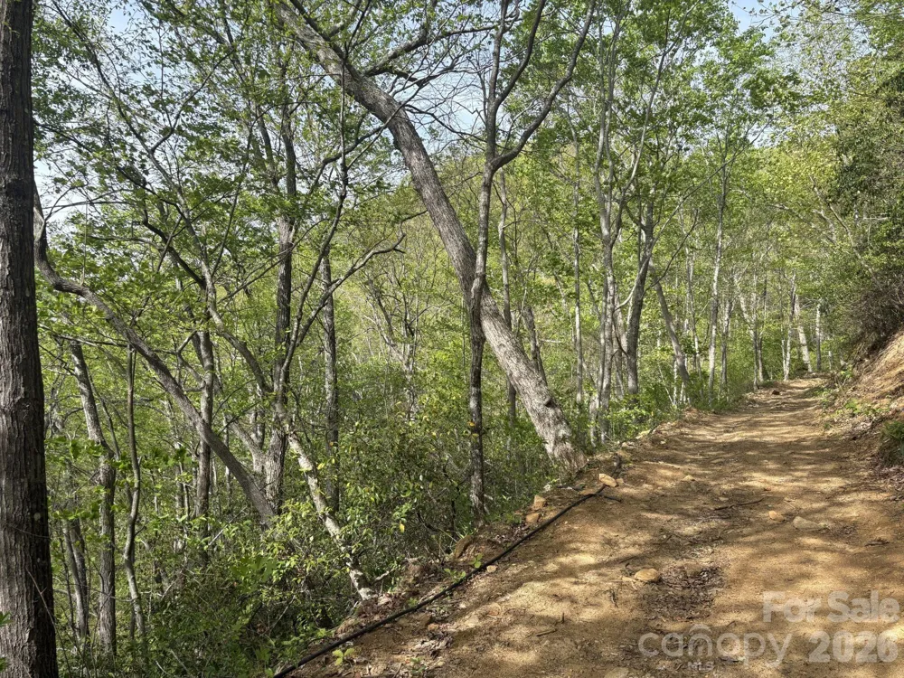 999999 Harwood Road #2 Barnardsville, NC 28709