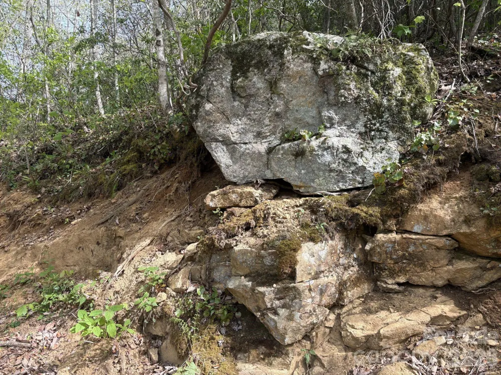999999 Harwood Road #2 Barnardsville, NC 28709