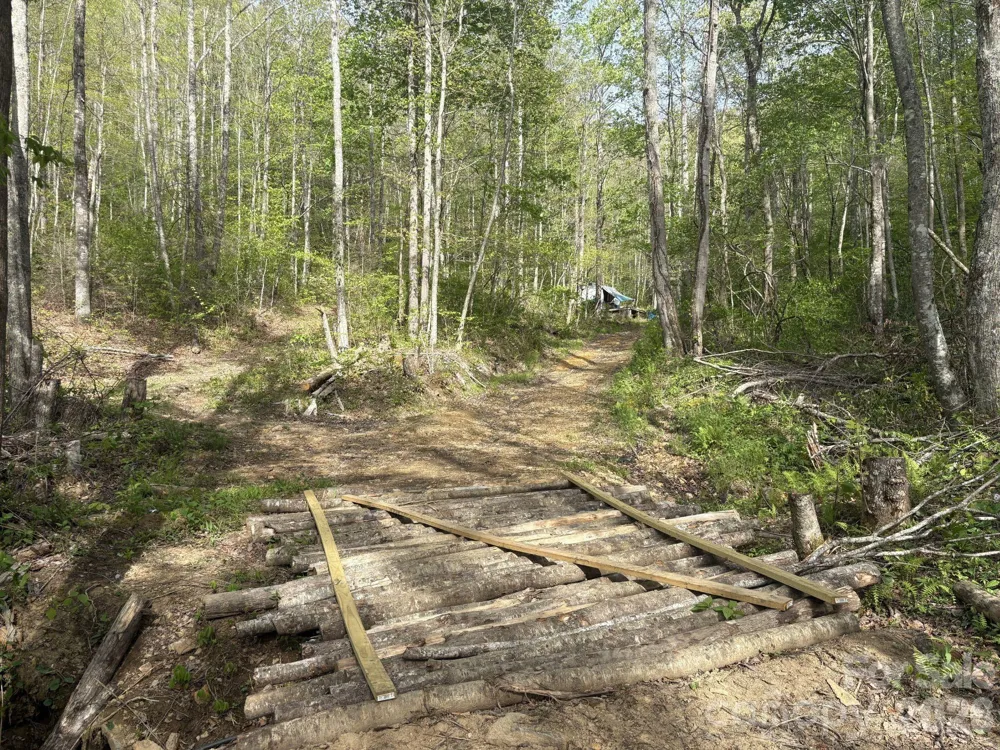 999999 Harwood Road #2 Barnardsville, NC 28709
