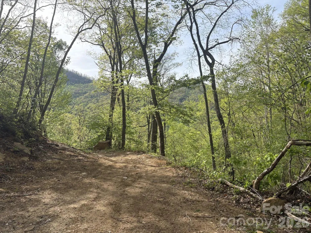 999999 Harwood Road #2 Barnardsville, NC 28709
