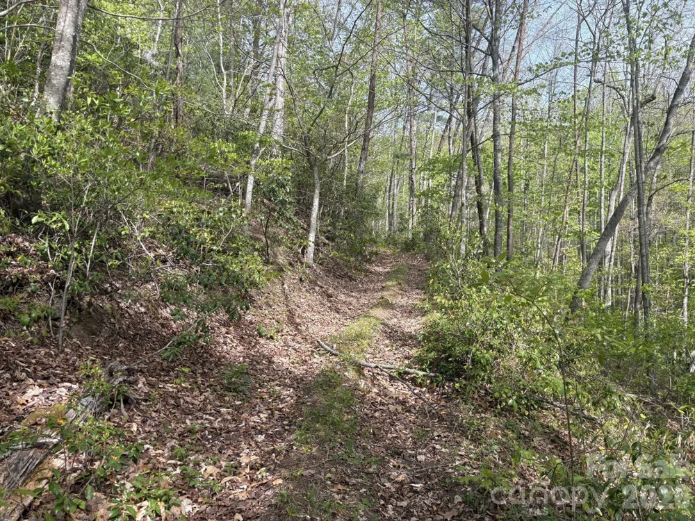 999999 Harwood Road #2 Barnardsville, NC 28709