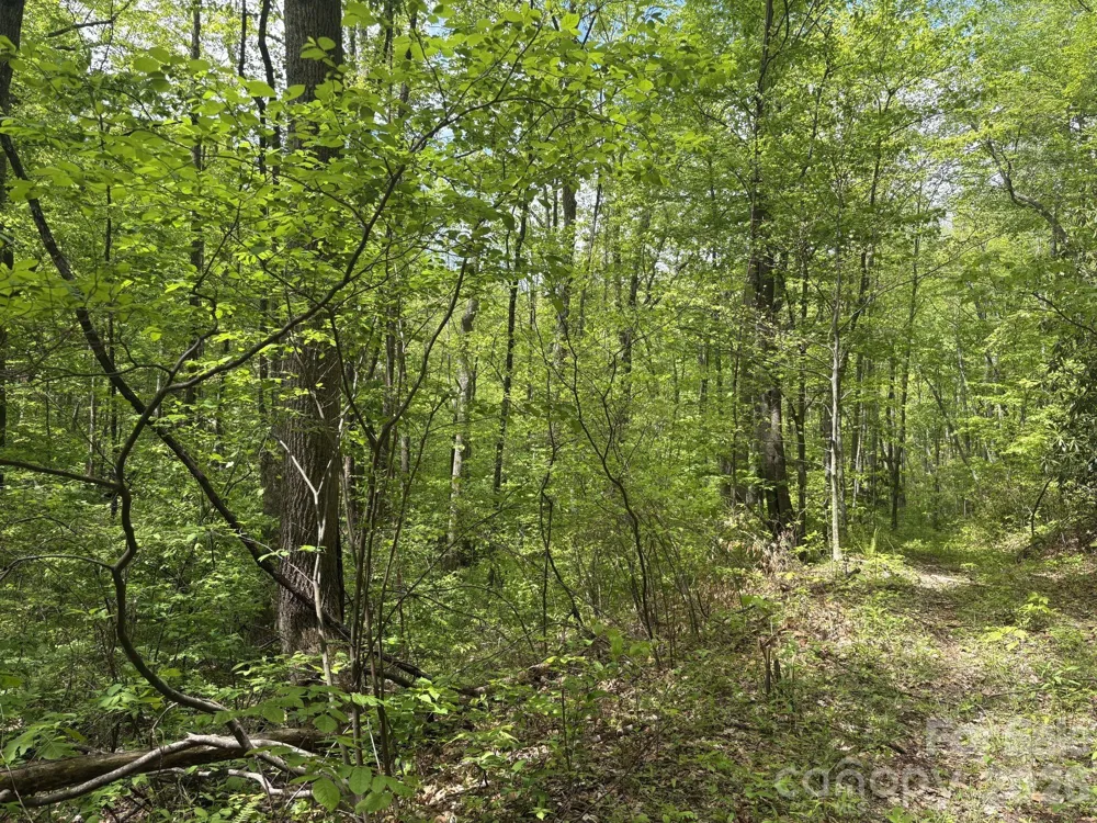 999999 Harwood Road #2 Barnardsville, NC 28709