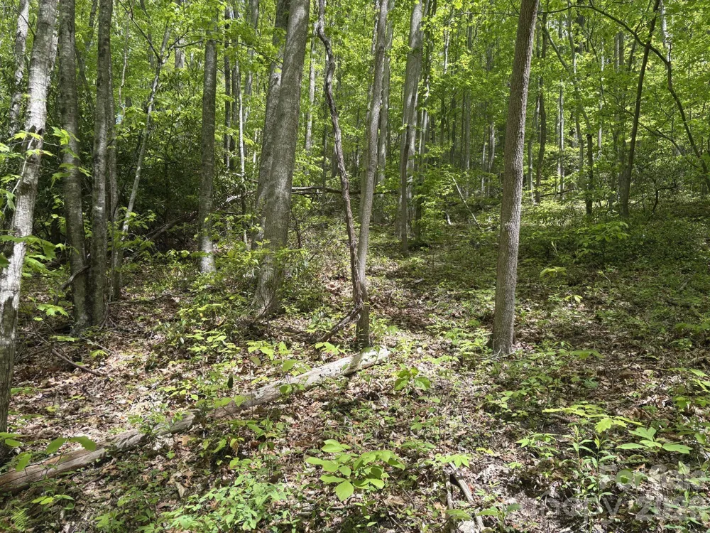 999999 Harwood Road #2 Barnardsville, NC 28709