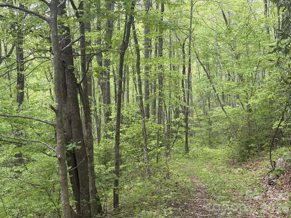 999999 Harwood Road #2 Barnardsville, NC 28709