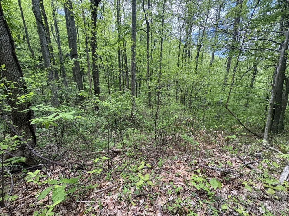 999999 Harwood Road #2 Barnardsville, NC 28709