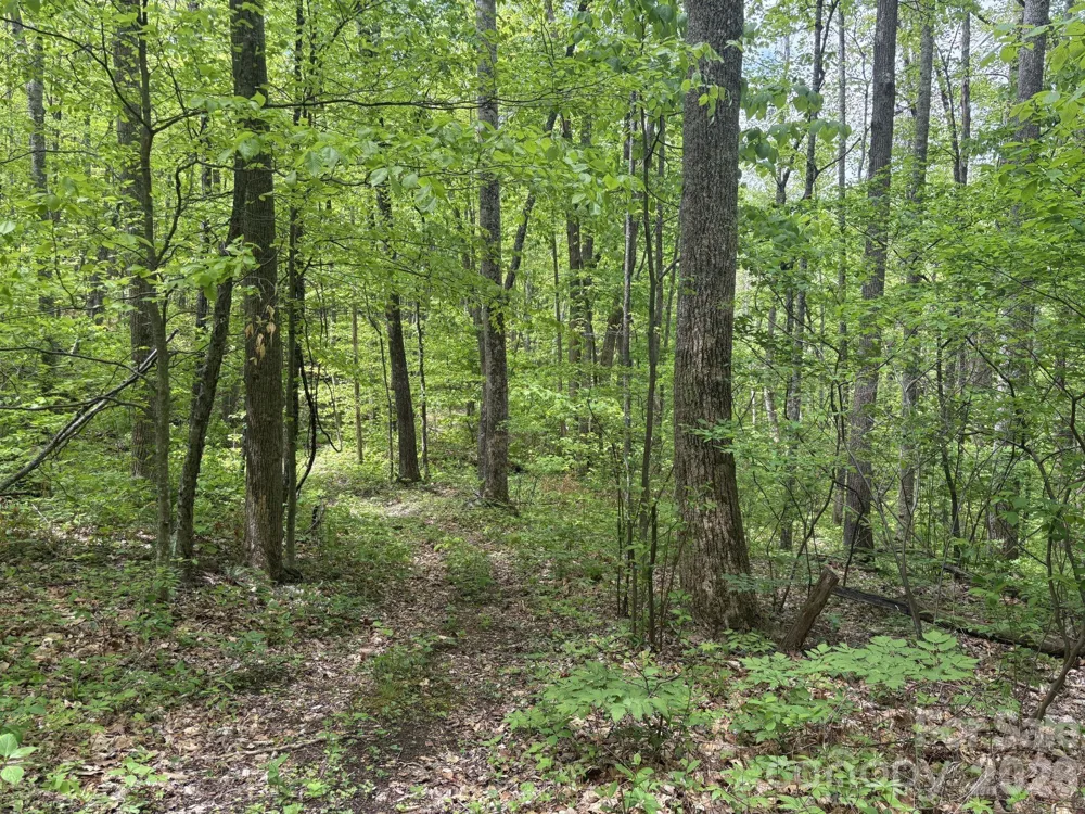999999 Harwood Road #2 Barnardsville, NC 28709