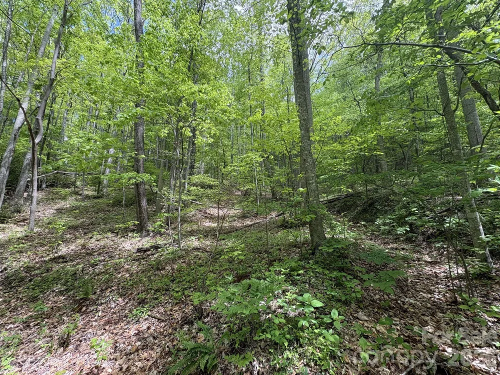 999999 Harwood Road #2 Barnardsville, NC 28709