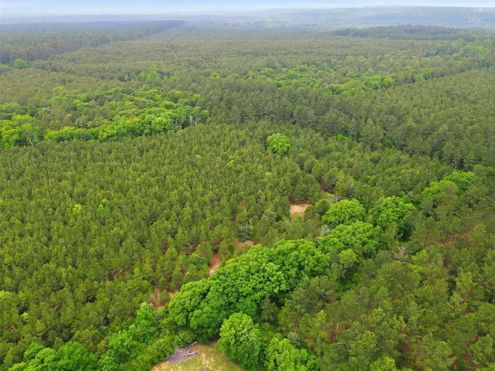 County Road 3824 Hawkins, TX 75765
