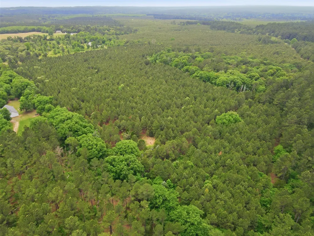 County Road 3824 Hawkins, TX 75765