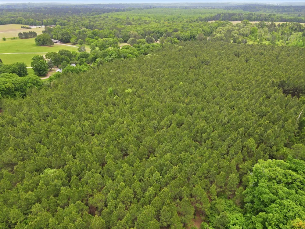 County Road 3824 Hawkins, TX 75765