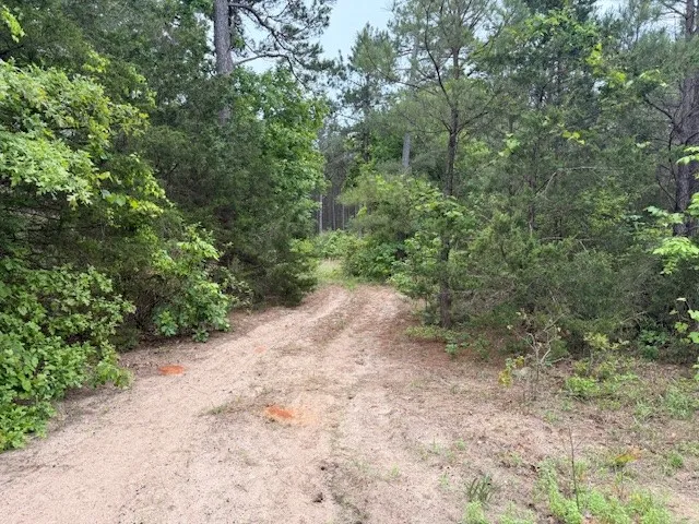 County Road 3824 Hawkins, TX 75765