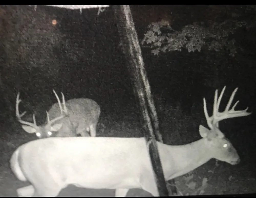 County Road 3824 Hawkins, TX 75765