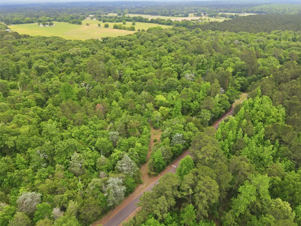 County Road 3824 Hawkins, TX 75765