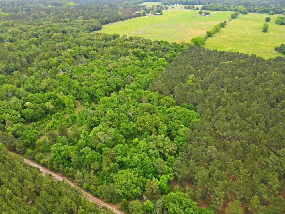 County Road 3824 Hawkins, TX 75765