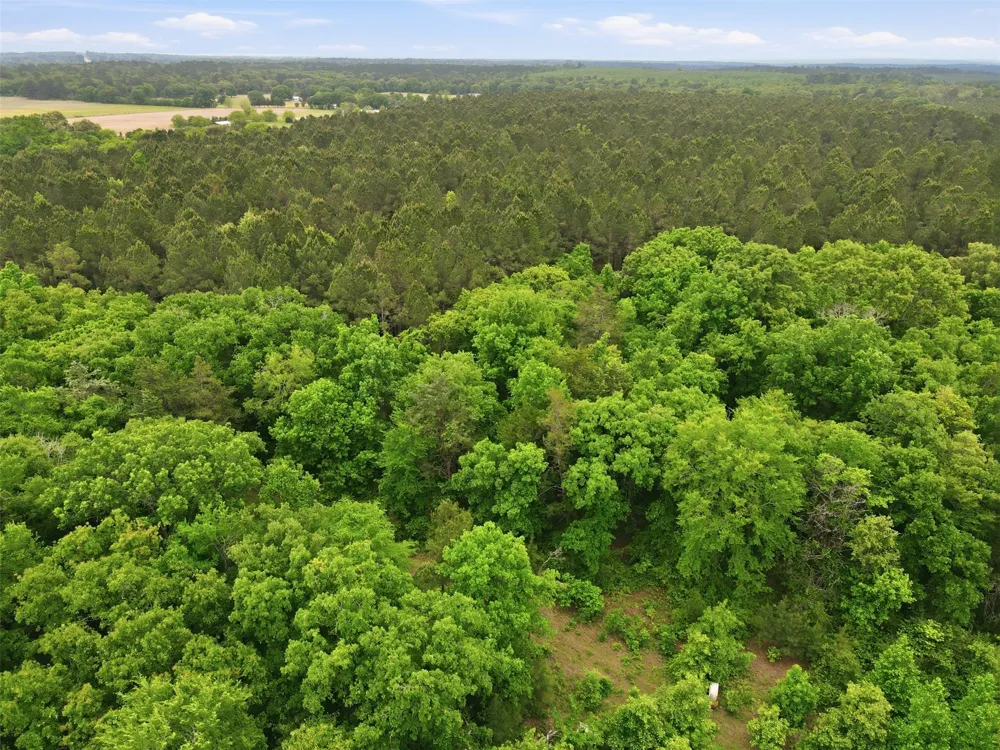 County Road 3824 Hawkins, TX 75765