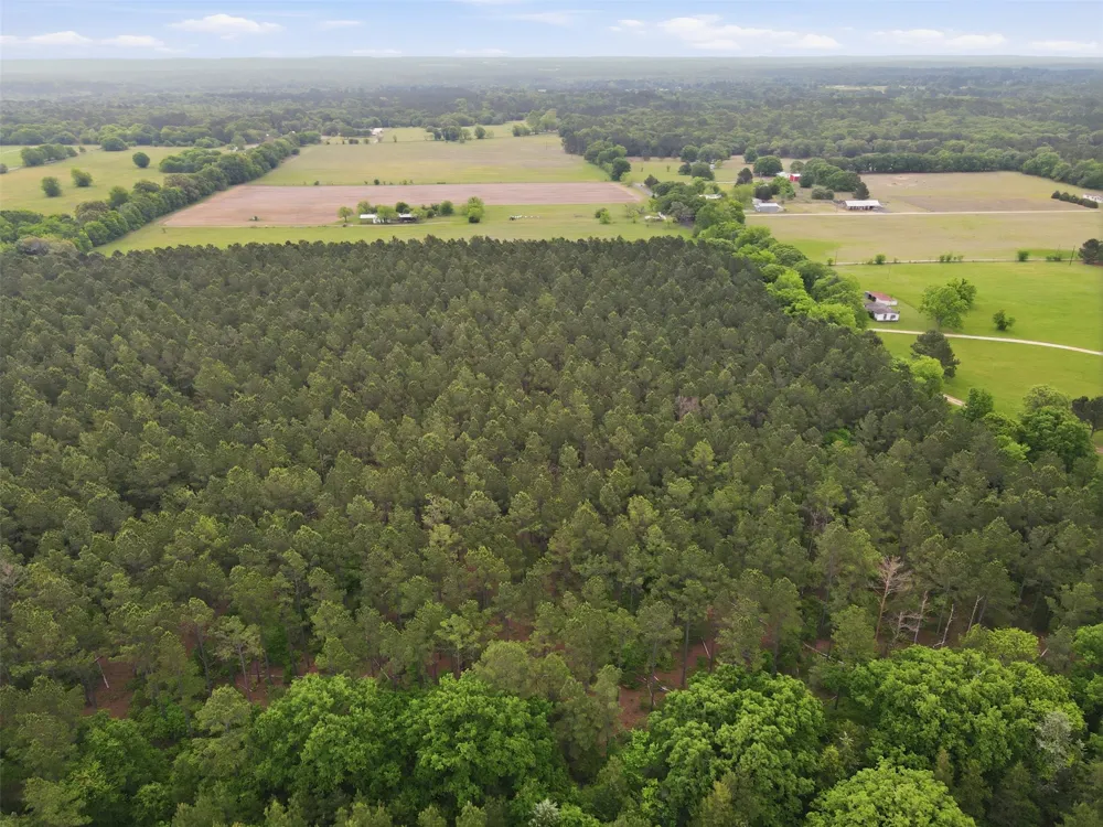 County Road 3824 Hawkins, TX 75765