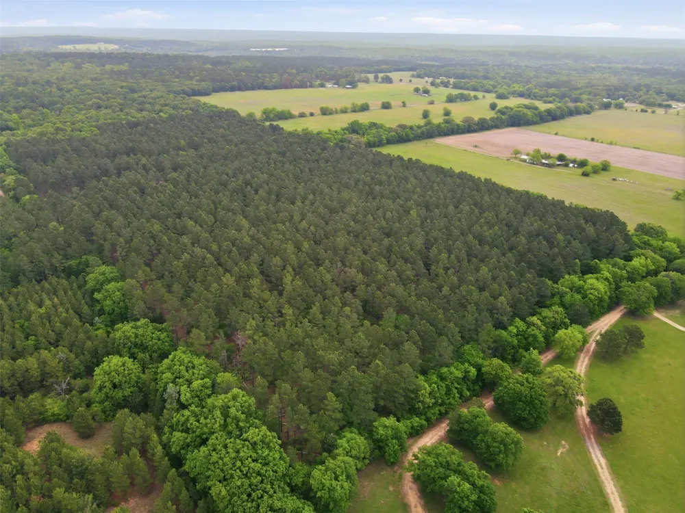 County Road 3824 Hawkins, TX 75765