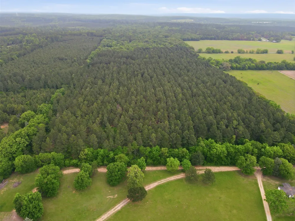 County Road 3824 Hawkins, TX 75765