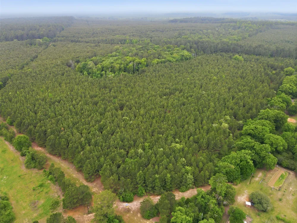 County Road 3824 Hawkins, TX 75765