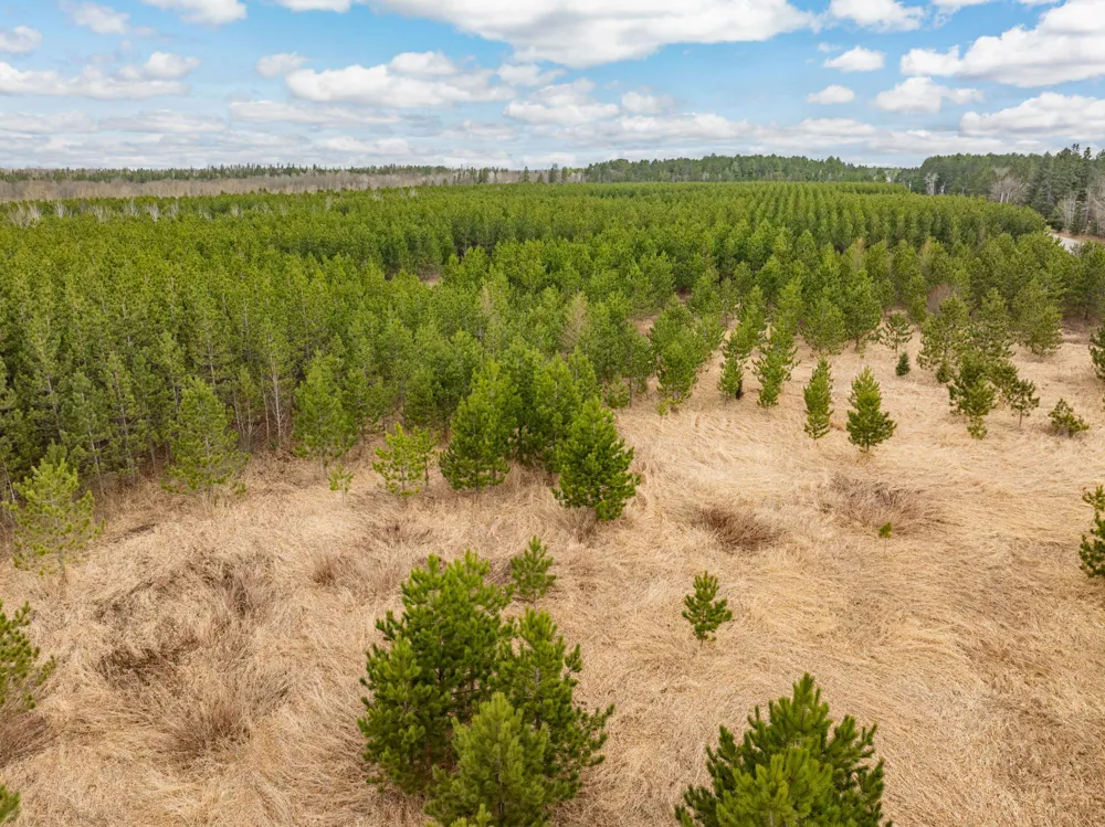 Lot 2 Scenic Hwy 7 Bovey, MN 55709
